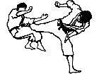  Karate Fight Decal