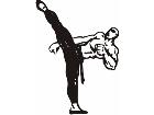  Karate Kick Decal