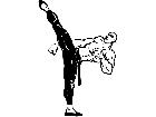  Karate Kick M B 1 Decal