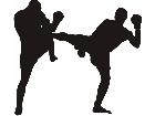  Kick Boxers Decal