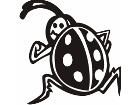  Lady Bug Decal