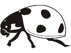  Lady Bug 0 8 0 Decal