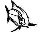  Lake Whitefish 1 4 1 V A 1 Decal