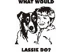  Lassie Dog Decal