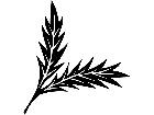  Leaf Sprig 1 5 4 V A 1 Decal