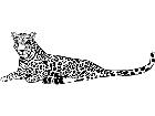  Leopard 1 4 5 V A 1 Decal