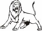  Lion Animal Wild 0 0 2a Decal