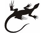  Lizards 0 3 2a Decal