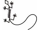  Lizards 0 4 0a Decal