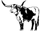  Longhorn Bull 1 3 4 V A 1 Decal