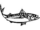  Mackerel Fish 1 4 1 V A 1 Decal