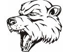  Mascots Bear 0 1 6 X C C Decal