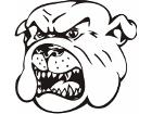  Mascots Bulldog 0 2 5 X C C Decal