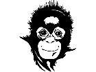  Monkey Baby Decal