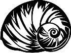  Moon Shell 1 4 0 V A 1 Decal