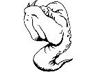  Moray Eel 0 4 1 V A 1 Decal