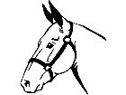  Mule Donkey Head 1 4 3 V A 1 Decal