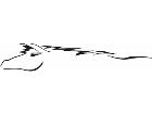  Mustang Horse Clean Decal