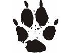  Paw Prints 0 9 Decal