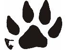  Paw Prints 1 1 Decal