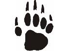  Paw Prints 1 6 Decal