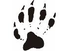 Paw Prints 1 7 Decal