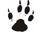  Paw Prints 2 4 Decal