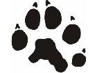  Paw Prints 2 7 Decal