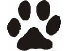 Paw Prints 2 9 Decal