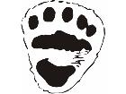  Paw Prints 3 4 Decal