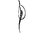  Pinstriping Designs 0 2 1 1 0 5 V A 1 Decal