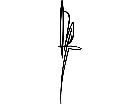  Pinstriping Designs 0 2 2 1 0 5 V A 1 Decal