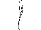  Pinstriping Designs 0 2 7 1 0 5 V A 1 Decal