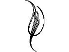  Pinstriping Designs 0 2 8 1 0 5 V A 1 Decal