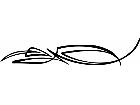  Pinstriping Designs 0 3 7 1 0 6 V A 1 Decal