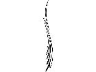  Pinstriping Designs 0 9 4 1 0 8 V A 1 Decal