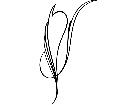  Pinstriping Designs 1 3 5 1 1 0 V A 1 Decal