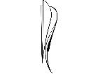  Pinstriping Designs 1 5 7 1 1 0 V A 1 Decal
