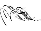  Pinstriping Designs 1 8 5 1 1 2 V A 1 Decal