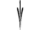  Pinstriping Designs 2 3 0 1 1 3 V A 1 Decal