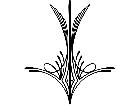  Pinstriping Designs 2 4 8 1 1 4 V A 1 Decal