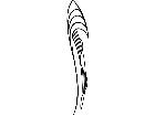  Pinstriping Designs 2 6 7 1 1 5 V A 1 Decal