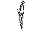  Pinstriping Designs 2 6 8 1 1 5 V A 1 Decal