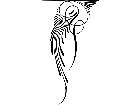  Pinstriping Designs 3 0 5 1 1 6 V A 1 Decal