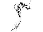  Pinstriping Designs 3 0 6 1 1 6 V A 1 Decal
