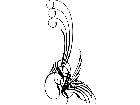  Pinstriping Designs 3 0 8 1 1 6 V A 1 Decal