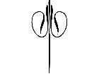  Pinstriping Designs 3 5 3 1 1 8 V A 1 Decal