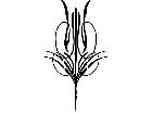  Pinstriping Designs 3 6 0 1 1 8 V A 1 Decal