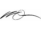  Pinstriping Designs 3 8 9 1 2 0 V A 1 Decal