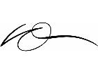  Pinstriping Designs 3 9 0 1 2 0 V A 1 Decal